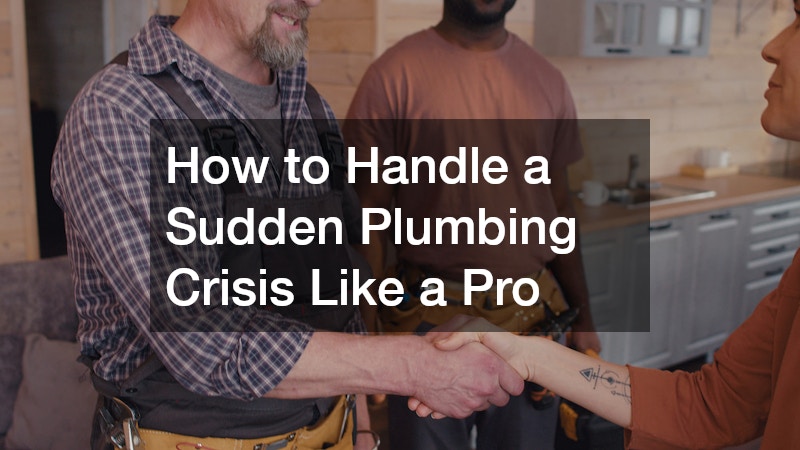 How to Handle a Sudden Plumbing Crisis Like a Pro
